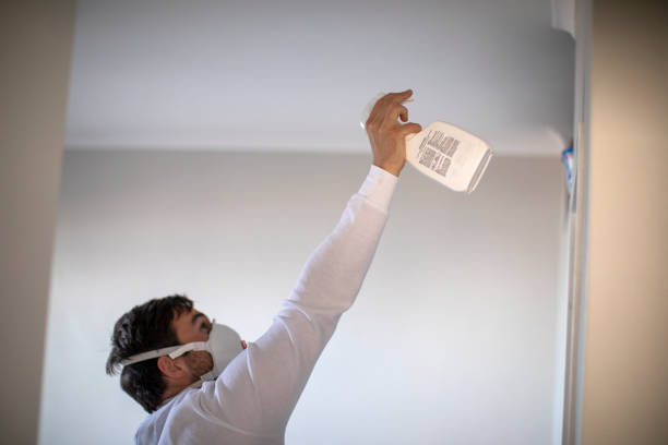 Best Mold Testing  in Hildale, UT