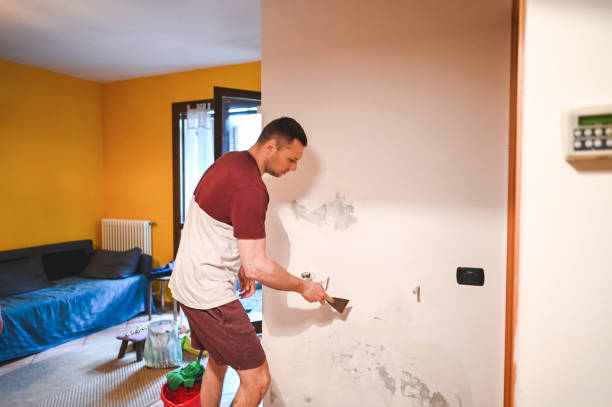 Attic Mold Removal in Hildale, UT